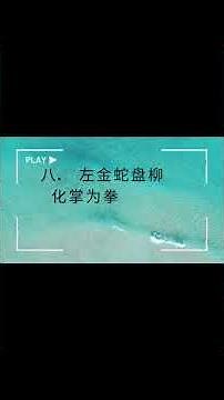 沙式太极拳12式
