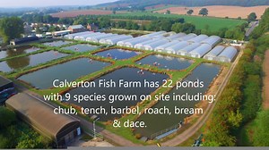 Our Calverton Fish Farm near Nottingham produce nearly half a million fish each year, yet few have ever seen or understand the whole process – this video explains it. Each year our East Anglia fisheries team collect ‘broodstock’ (in this case adult dace), from the River Snail in Cambridgeshire – the young of these fish are then stocked into rivers up and down the country for others to enjoy. Environment Agency fisheries teams are passionate about improving fisheries; we love our work. This inclu