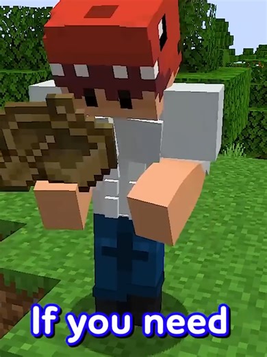 Illegal Tricks That Work in Minecraft