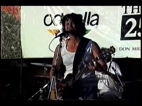 Fastbacks live 1995-06-30 Mural Amphitheater, Seattle, WA