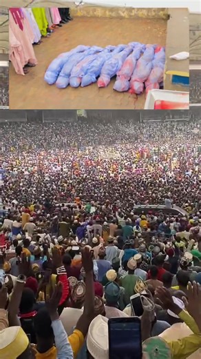 Exploring Arewa Mufarka Trends on TikTok