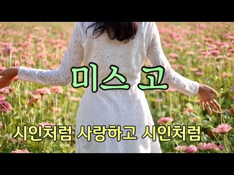 미스 고 - 하춘화 / 디스코 트롯트 / 가사자막