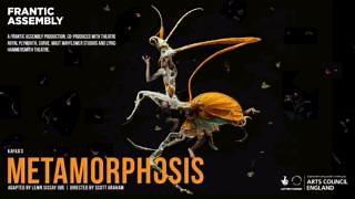 Our Artistic Director Scott Graham gives an insight into Frantic Assembly’s new production of Metamorphosis, adapted by Lemn Sissay. 🎟 Tickets are available now at: https://www.franticassembly.co.uk/productions/metamorphosis | Frantic Assembly