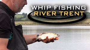 Whip Fishing the River Trent | Alan Scotthorne Speed fishing straight to hand is a great way to amass a good net of fish at anytime of year. In this video 5x World Champion Alan Scotthorne shares a few pointers during a session on the River Trent at Burton Joyce. #drennan #alanscotthorne #5x | Drennan International