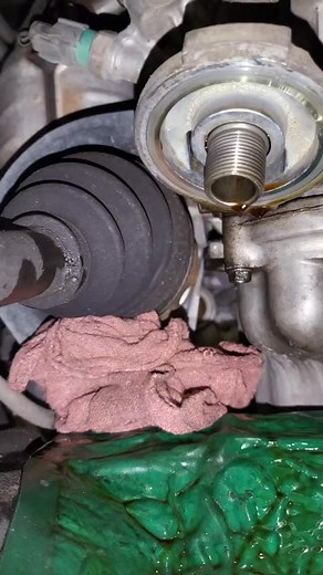 1.8K views | How To Properly Install A Honda Oil Filter  Comment War Ensues＊ 﫵 #shorts #honda #oilfilter #fblifestyle | Travis Patel | Facebook