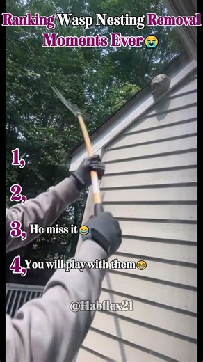 Ranking Wasp Nesting Removal😭😭 pt7