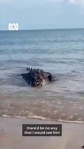🐊😳😮 David was on the Arnhem Land coast collecting cockles when he spotted this croc. David has worked with and around crocodiles in captivity and in the wild for over a decade, and thought it was a good learning opportunity to remind locals and inform visitors how dangerous a croc can be. ​ “While I was down low, the croc saw me as prey but as soon as I stood up I became a potential threat and he was off. It always pays to be really, really careful in croc country. So back from the water and 