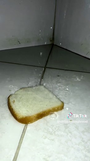 bread #bread | bread