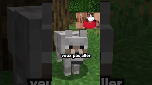 Cache cache Minecraft mais je suis en VR! #minecraft #holidayswithyoutube #shorts + seek me pourchasse sur Minecraft? #minecraft #shorts