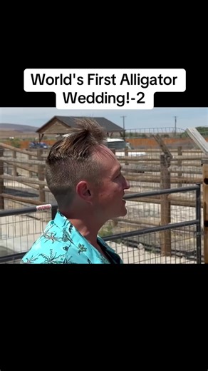 World's First Alligator Wedding!-2