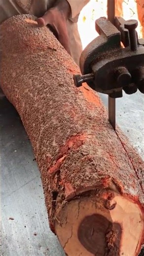 splitting tree trunks #shorts