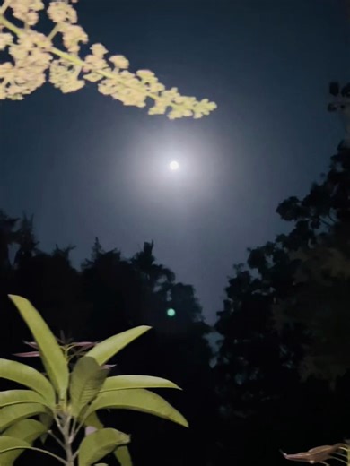 Koto Sundor: Captivating Views and Moments