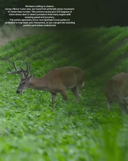 We leave nothing to chance. Using a flicker fusion test, we found that whitetails sense movement 4x faster than humans. This extreme acuity plus 270 degrees of vision allows deer to detect predators from many angles with amazing speed and accuracy. The pattern geometry of our new Optifade Cover pattern is optimized to help mask your movement, so you can get into shooting position and remain undetected.#sitkagear #sitka #sitkahunting #hunting