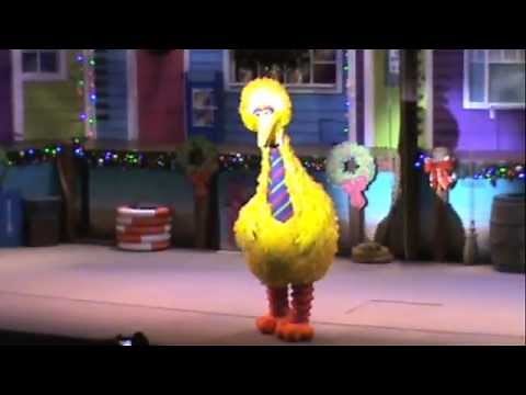Big Bird takes a spill