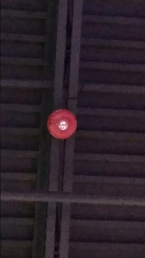 System Sensor L Series SPSCRL Speaker Strobe