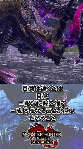 意味深すぎる渾沌に呻くゴアマガラのクエスト #モンハン #モンハンワイルズ #モンハンサンブレイク #渾沌に呻くゴアマガラ #モンハン雑学 #ゴアマガラ #モンハン解説 #shorts