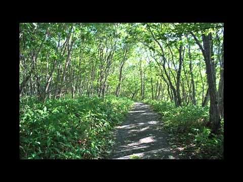 知床旅情 森繁久弥作詞・作曲 Shiretoko Ryojo