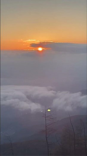 【入笠山の雲海と朝日】紅葉もよろし #hiking #trekking #mountains