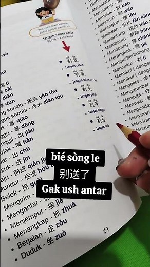 Learn Mandarin autodidactically for beginners #mandarinchinese #mandarinonline #learnmandarin #tv...