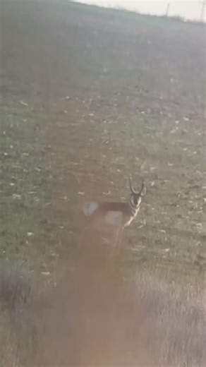 Check out kale pulling off a 484 yard 12 ringer on a heck of first pronghorn in Colorado! | Great Plains Land Company, LLC