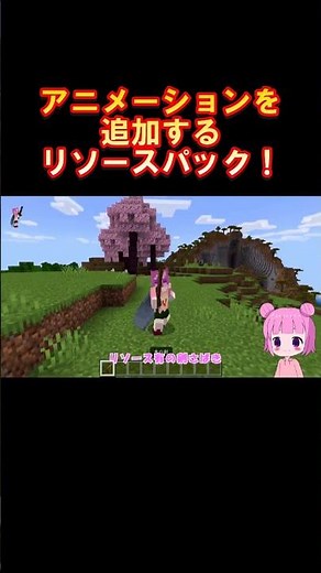 【マイクラ】アニメーションを追加するリソースパックが凄い！！