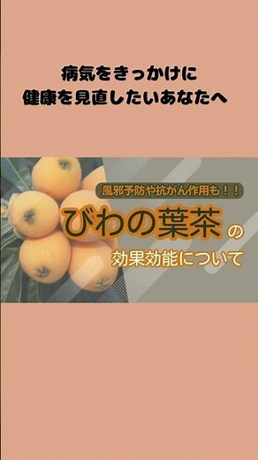 知らないと損！びわの葉茶の驚くべき効果と注意点【薬膳の知恵】#薬膳 #びわの葉茶 #健康習慣 #デトックス #免疫力アップ #中医学 #shorts #健康第一 #生活習慣病予防 #雑学