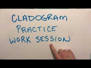 Cladogram Problem-Solving Session