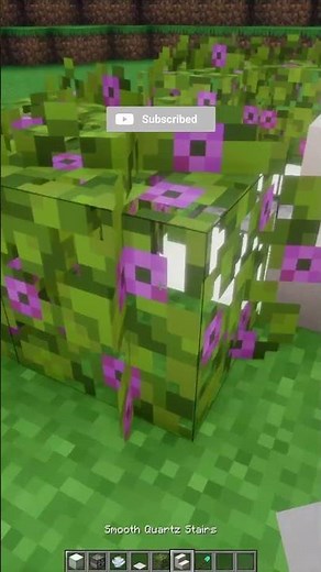 You’re Using Elytra WRONG… Build This Instead 👀