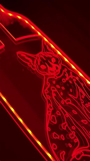 Grrrrr. What do you ride today? Dance on this cool cat. Longboard dancing #longboard with