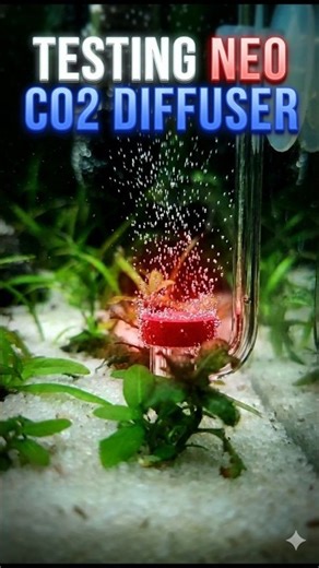 Neo Co2 Diffuser Give The Mist Like Bubbles || #aquascapelowtech #aquascape