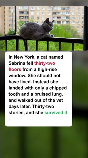 A Cat Survived a 32-Story Fall With Barely a Scratch (51 char)