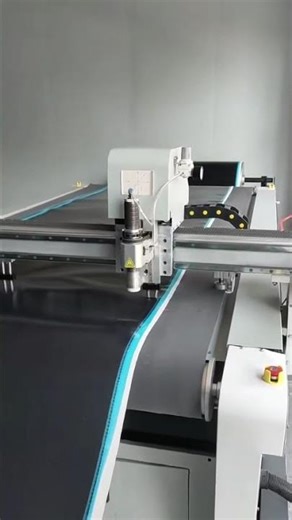 Customer Real Footage: Oscillating Knife Cutter