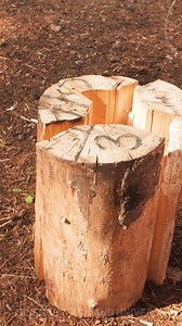 Turning Log Into a Stove! | Science, Tech and Universe