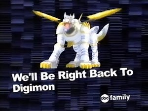 Commercial Breaks - November 25 2003 - ABC Family