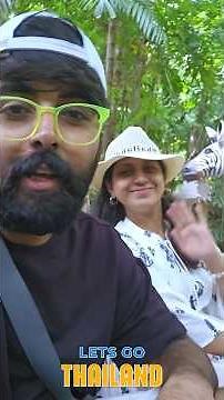 THAILAND HONEYMOON PACKAGES AT BUDGET RATES ✈️