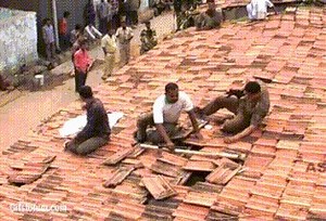 17K views · 96 reactions | As the UK’s only event for the Roofing, Cladding and Insulation sector, the RCI Show can help you with many things - but maybe not this!? Take a day out of the normal routine to watch live product demos, source new products, meet suppliers, network, workshops, show-only offers plus much more! (but no big cats!) 25-26 March at the Richoh Arena Coventry, find out more and sign up for your FREE visitor badge at www.rcishow.co.uk | The Tradesman | Facebook