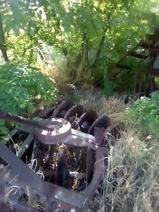 42K views · 633 reactions | Cari Klein on Reels | Facebook