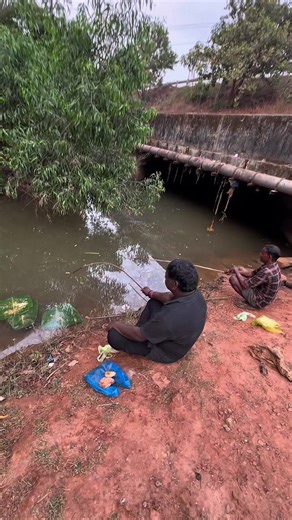 Рыбалка в Индии: Уникальные Техники и Советы
