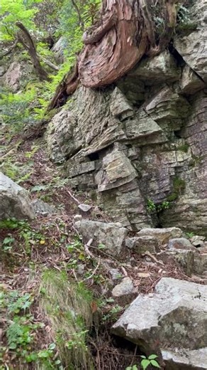 奈良 大台ヶ原方面 大普賢岳にて