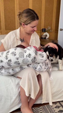 PILLANI Nursing Pillow for Breastfeeding & Bottle Feeding, Original Breast Feeding Pillow for Mom & Baby, Removable Cotton Cover, Adjustable Waist Strap, Baby Girl Boy Essentials Must Haves