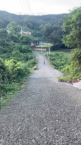 Hill running 🏃🏻‍♀️ Hill running is a valuable method for building speed, strength, and endurance, which significantly contributes to overall running performance and fitness. As runners tackle uphill terrain, they engage different muscle groups, particularly in the lower body, leading to improved strength and power. #hillrunning #strength #runner #running #run #believeinyourself #trusttheprocess #nevergiveup #trainhard #workout #trusttheprocess #strengthworkout #enduranceworkout | Himani Chande