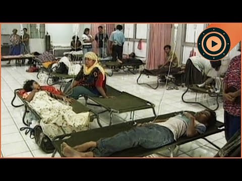 The Deadliest Outbreak To Ever Hit Hawaii