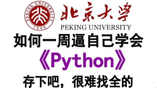【全398集】2025年B站最全Python全套教程（包含爬虫 数据分析），一周从入门到精通Python，学完即可就业！看完这一套Python教程就够了！