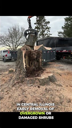 How to reduce the cost of brush removal in Central Illinois?