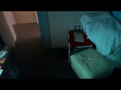 Champion Daddy Pig Jump fail.