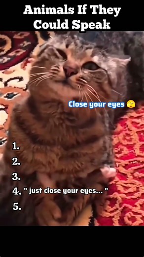 😸🦆Animals if they could speak... They would be Suuuper funny 🤣