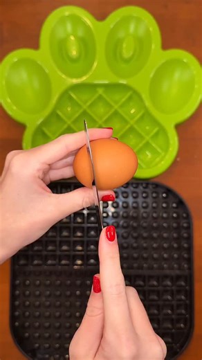 Kayla Kowalski on Instagram: "My dogs raw dinner 🥩🐕 ASMR 🦴 🍳 Chicken eggs & shell membrane 🥩 Beef recipe from @wefeedraw ❤️ 50% off code: Kayla50 🐶 🦆 Dehydrated duck heads 🥛 Plain unsweetened kefir 🌀 Blue spirulina powder Raw dog food benefits: 🐶 Improved digestion & gut health 💪 Stronger immune system 💩 Smaller, firmer, more solid poops 🐝 Reduced seasonal allergies 🐕 Shinier coat & softer fur 🦷 Cleaner teeth & better breath 🧬 Supports long-term health & longevity Follow for more