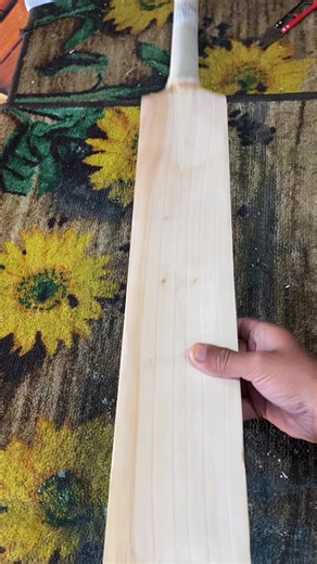 How to Apply Stickers on Your TON Cricket Bat