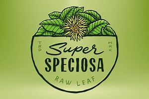 Why Using Super Speciosa Review Is Important?