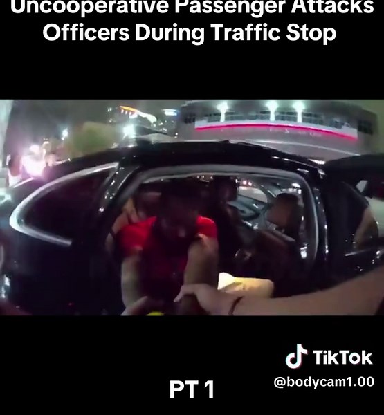 Uncooperative Passenger In Traffic Stop Assaults Officers